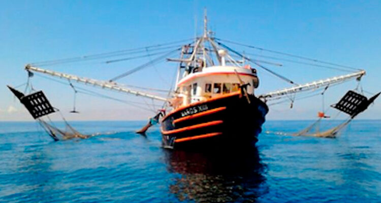Anuncia Agricultura levantamiento de veda para la pesca de camarón en el océano Pacífico