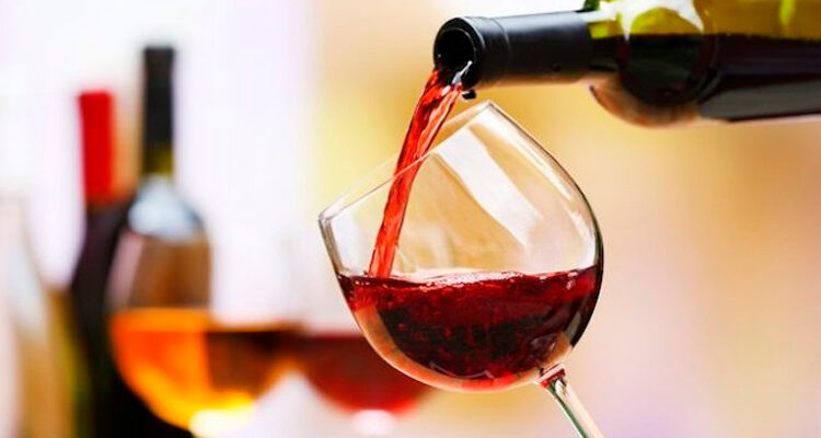 Industria de la viña y el vino contribuirá a recuperación económica, desarrollo territorial de zonas vitivinícolas y bienestar
