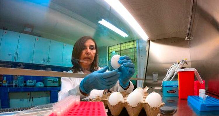 Concytec financiará proyectos de investigación científica hasta con S/ 405,000