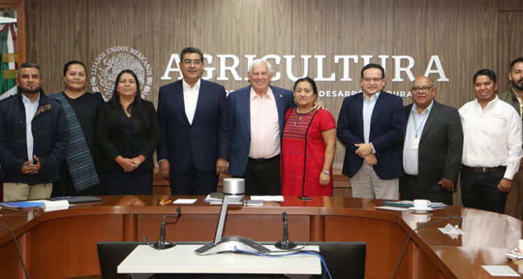 Presenta Gobierno de Puebla estrategia para impulsar el agave mezcalero